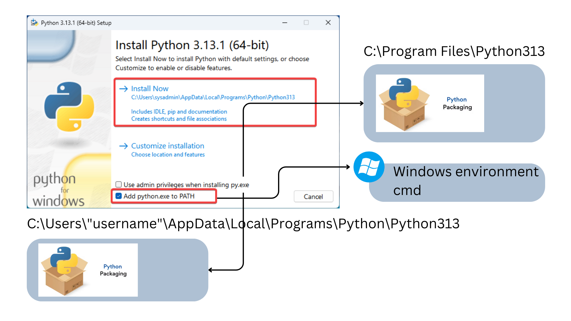 python download