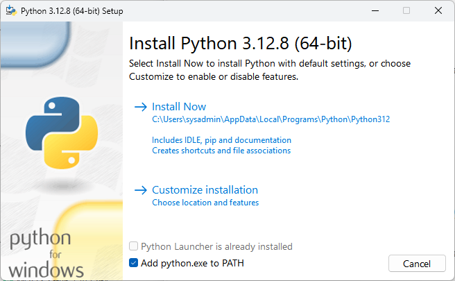 python download