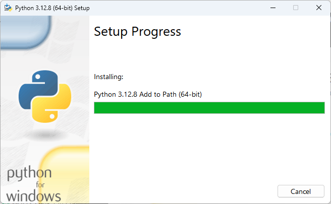 python download