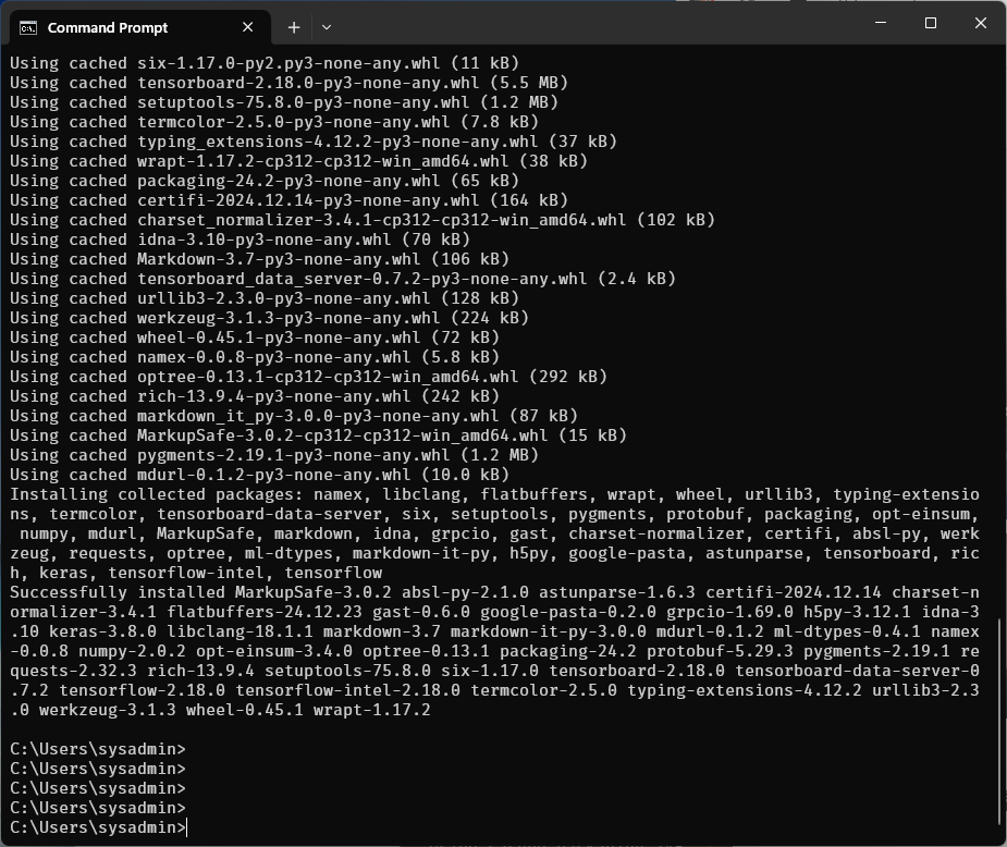 python download