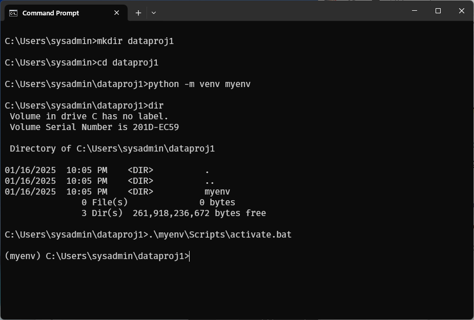 python download