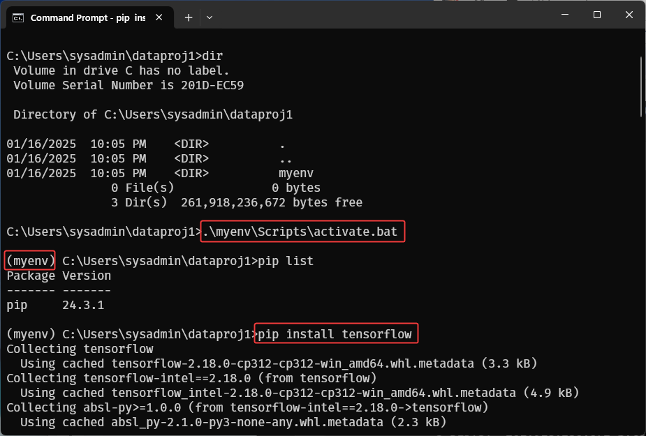 python download