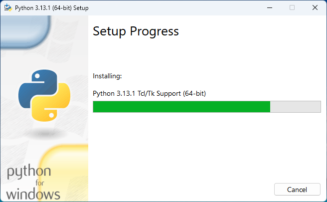 python download